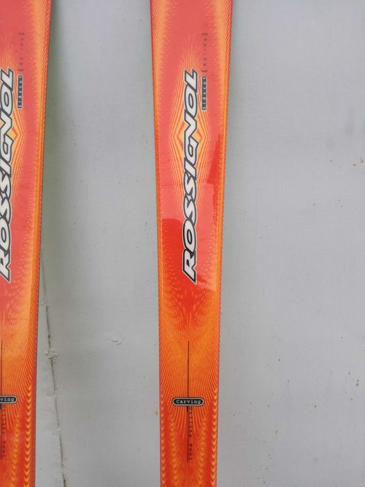 Schiuri Rosignol Toon 10.4