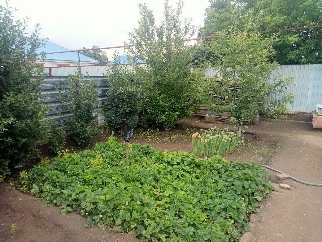 Продам Дом Акжар 1 БУРОВИК