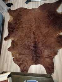 Огромна телешка кожа, килим