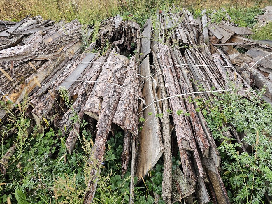 Lemne de foc - oferta