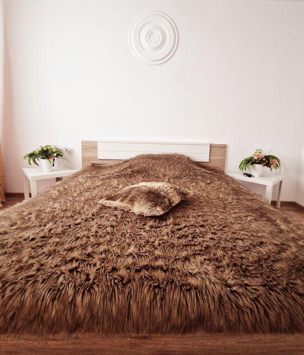 FACTURA**Cazare Apartament in Regim hotelier Craiova