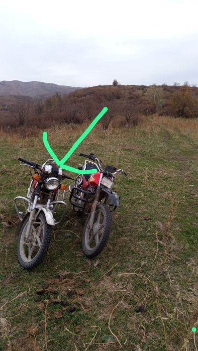 Продам альфу сузуки