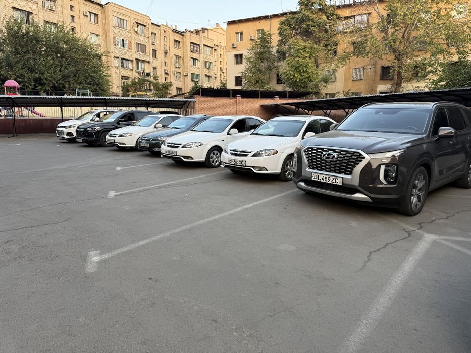Сухая аренда малибу автомат хонда кридер Жентра