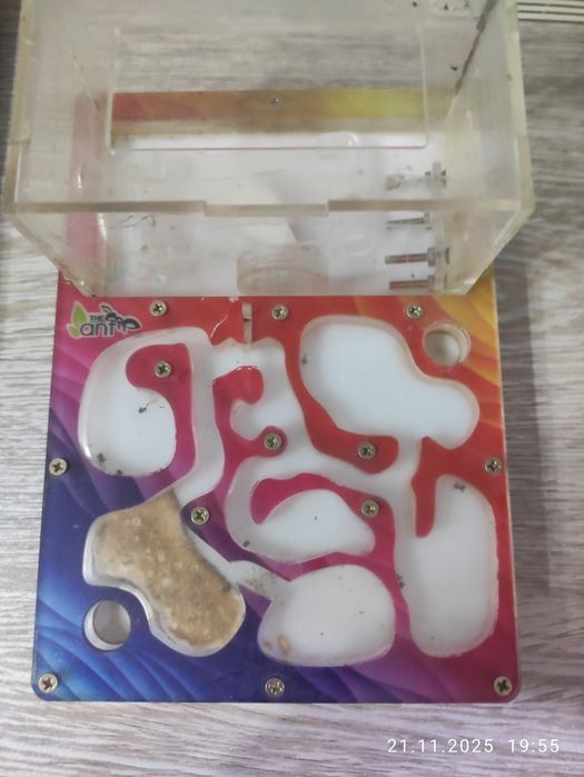 Муравьиная ферма