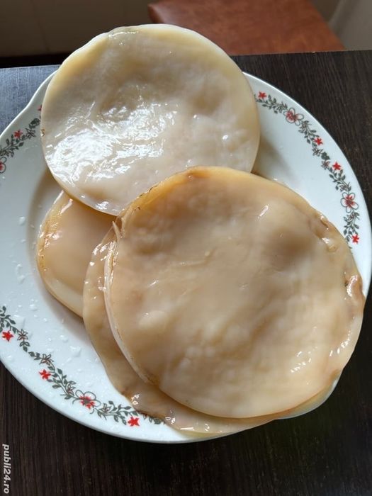 Kombucha - Scooby+ lichid starter