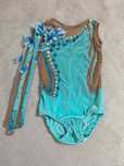 Costume gimnastica