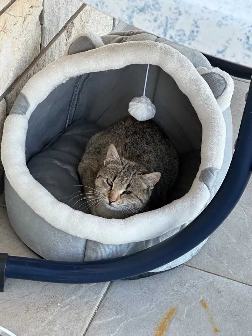 Пухкаво легло за котки, Сива пещера - къща за домашни любимци - котка