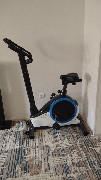 Velik elektroni spartivni