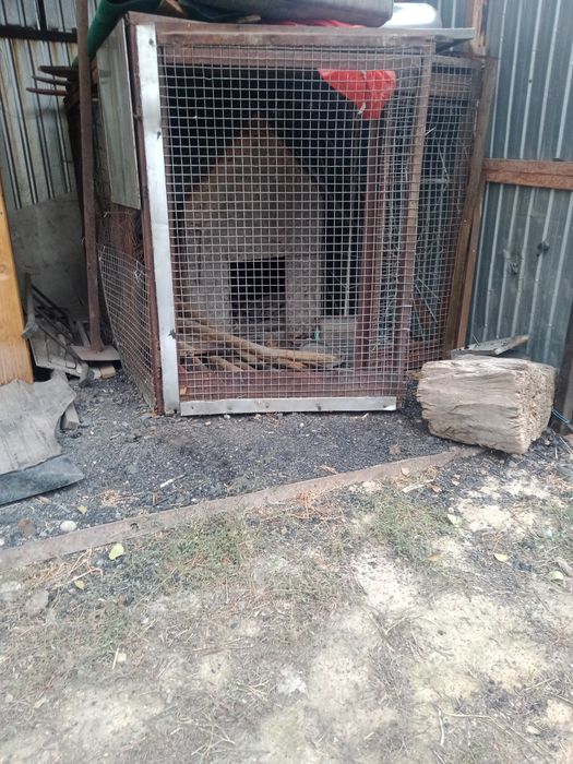 Вольер для собаки