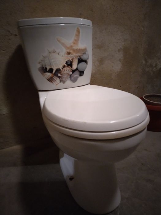 Тоалетна чиния ( пълен комплект )