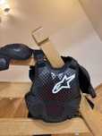 Armura Alpinestars A-10 V2