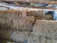 Продам  Бугетсайское тюковое сено по 900, примерно 30 тюков .самовывоз