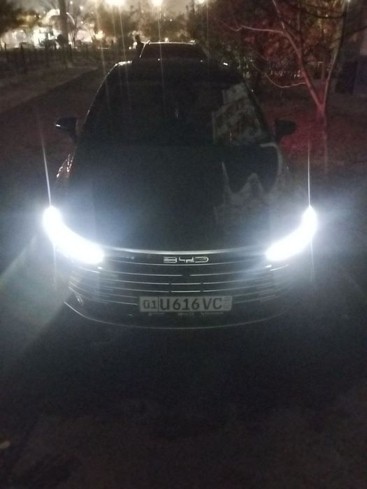 BYD Chazor Arenda suxoy