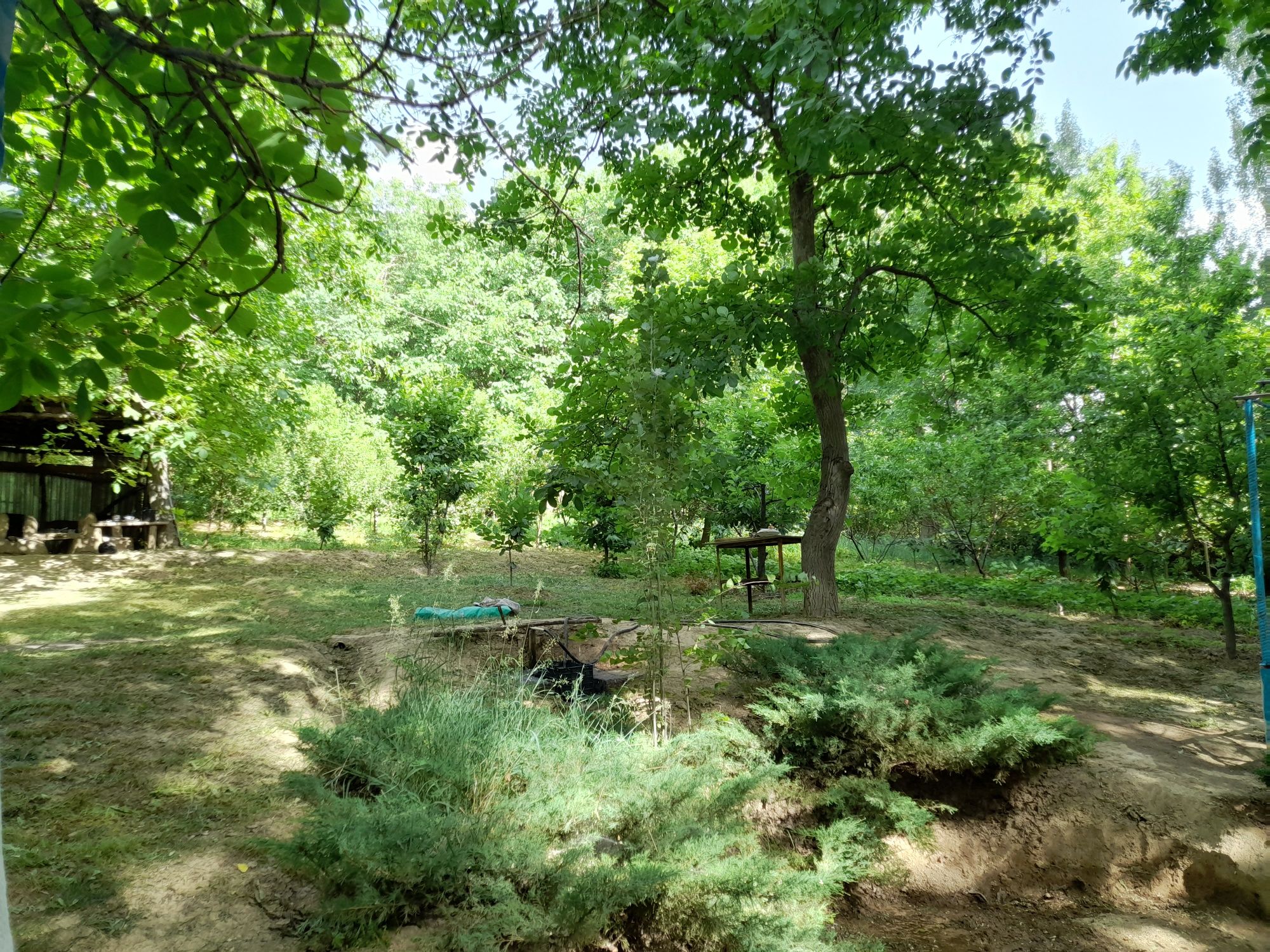 Soqoqda tapchan bor