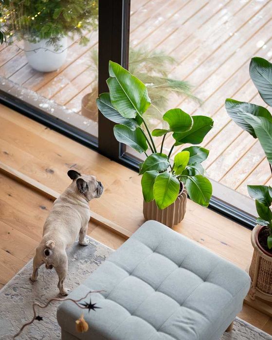 Canapea Ikea cu 3 locuri + taburet extra