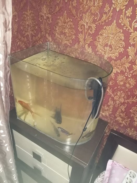 Продам 2 аквариума