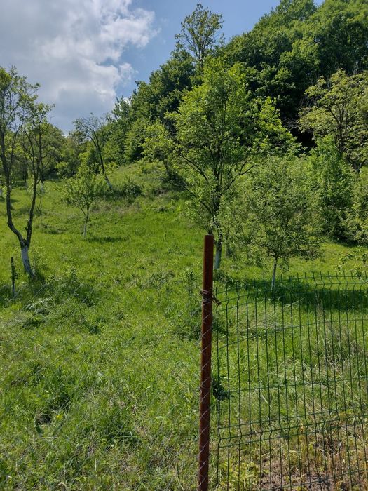 Teren in Geoagiu de sus, zona minunata aproape de manastirea Ramet