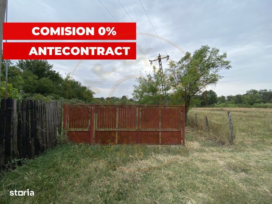 Teren Poiana Lacului