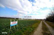 Moara Vlasiei - Teren Intravilan, Oportunitate Unica 7500 Mp, D-335ml