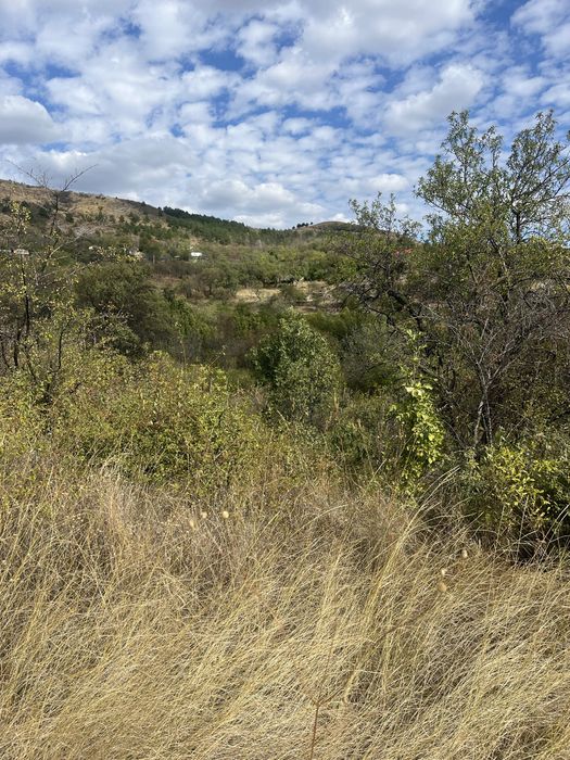 Teren intravilan 1.100 m² – Tohani, Prahova | Lângă Autostrada A7