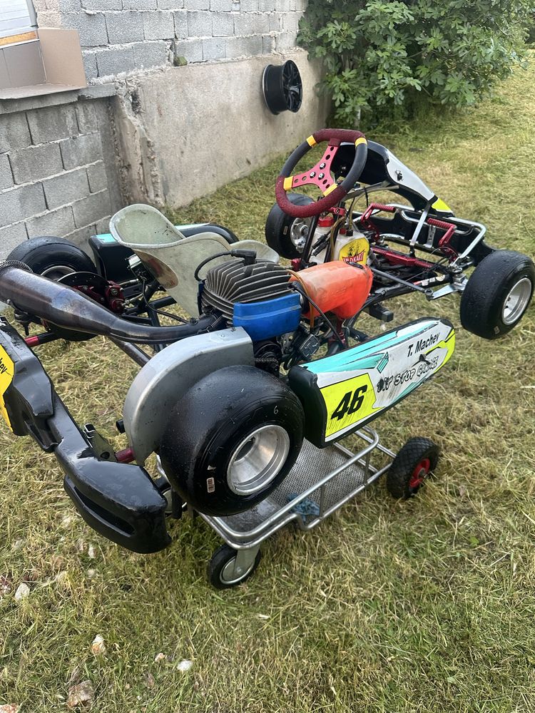 Картинг мини Wildkart Iame