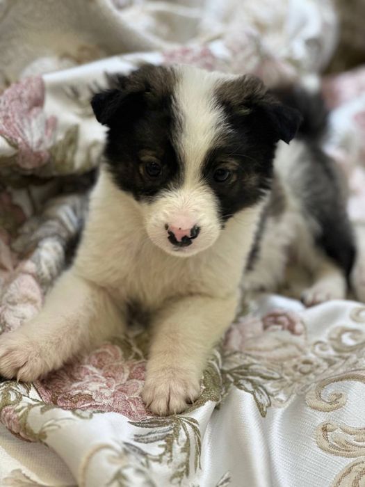 Малышам срочно нужен дом и семья!