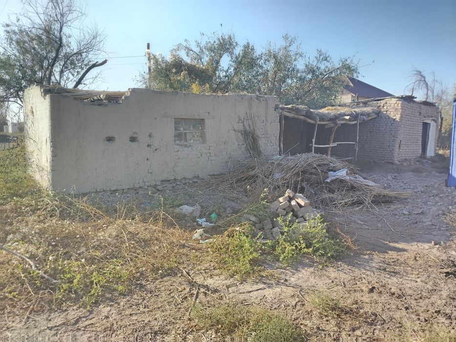 Уш болели мал кора сатылады