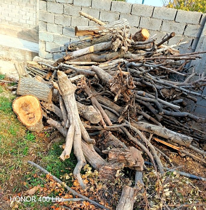 Quruq Yangʼoq Olma Zardoli oʼtin bor sotiladigan