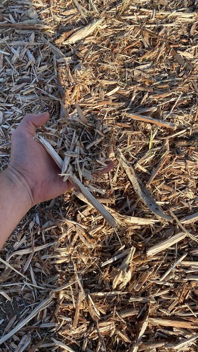 Curatare teren de vegetatie nedorita : arbusti, subarboret, ambrozie