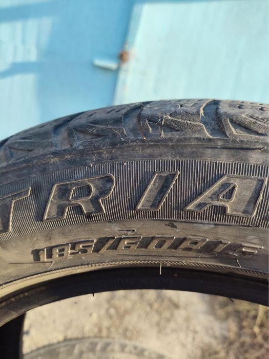 Продам зимние автошины