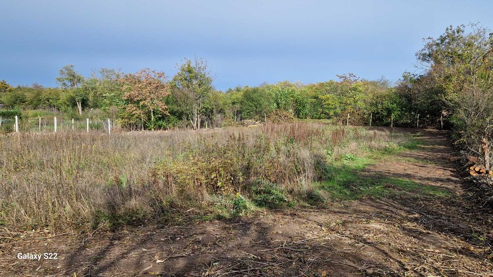 Продавам дворно място в с.Езерец, област Добрич