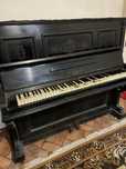 Pian C. Schmidt pianina