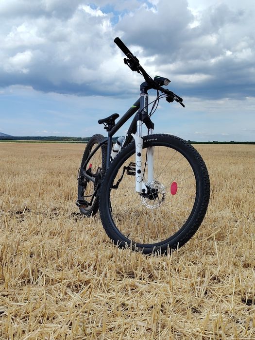 Rock Rider st520 custom