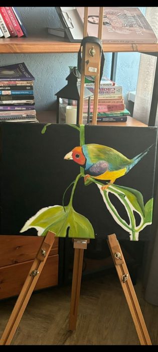 Картина маслом на холсте Гульдова амадина