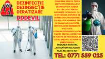 DDDEVIL Dezinsectie Dezinfectie Deratizare Valcea DDD