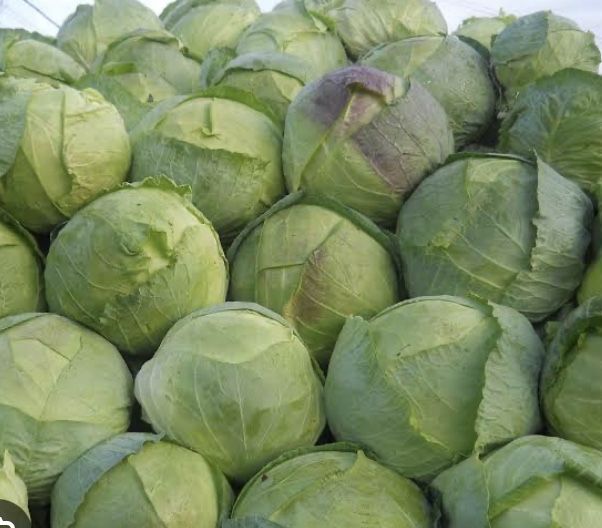 Varza de buzau de toamna