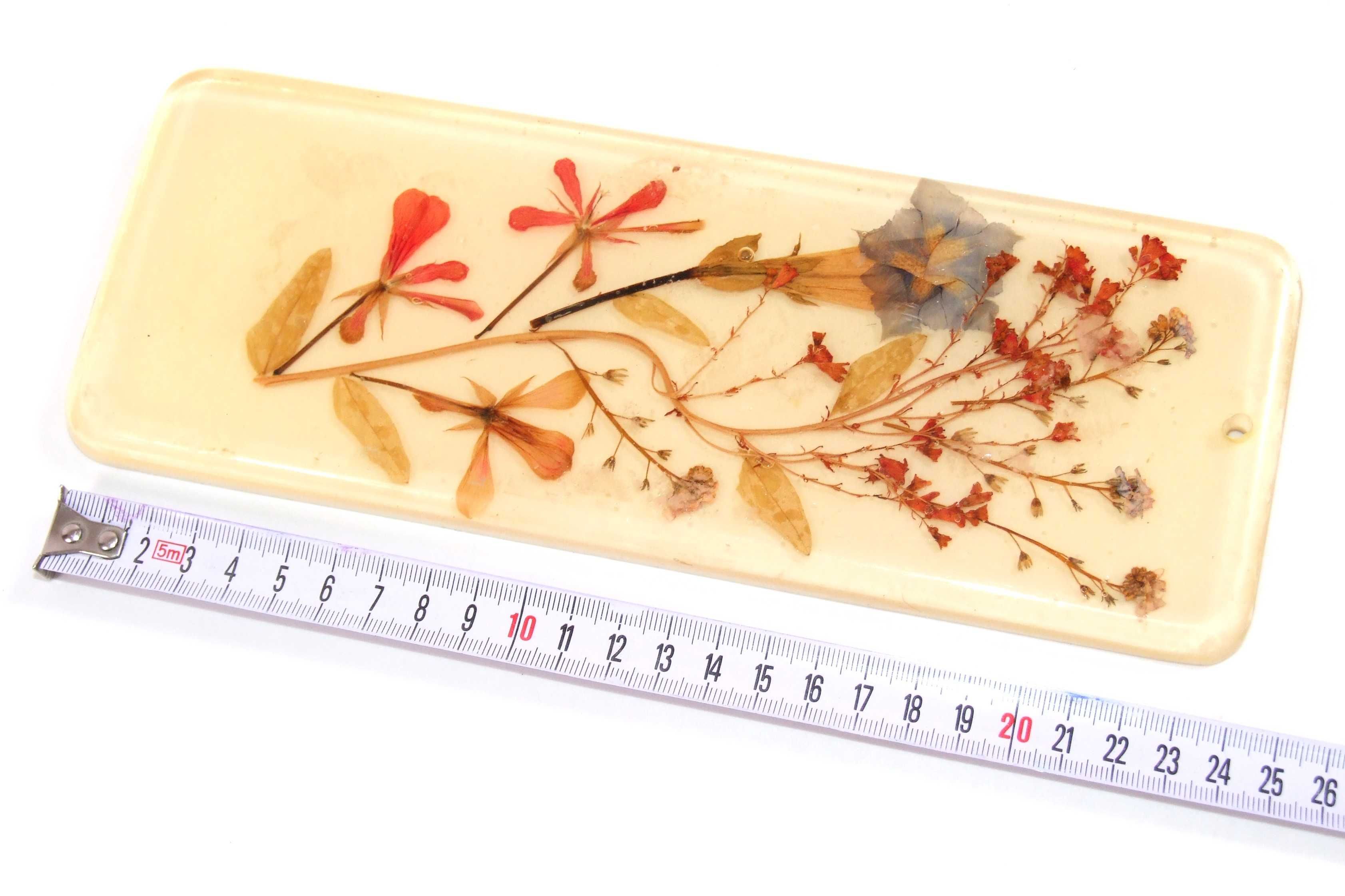 SET 4 TABLOURI: flori nemuritoare integrate in plexiglas, handmade