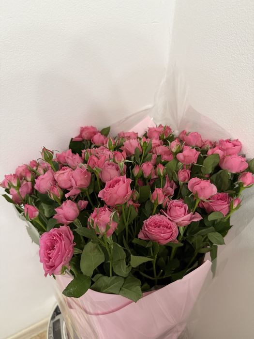 Продам свежие красивые цветы