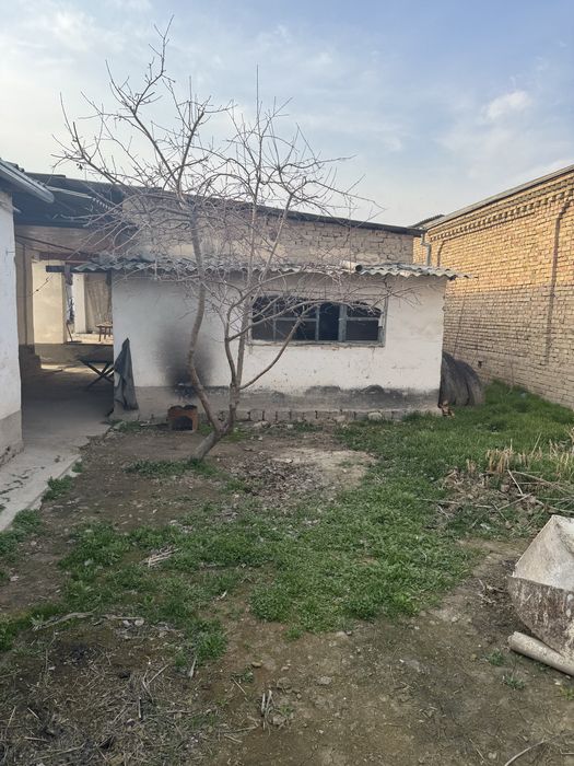 Bekobod tumani. Zafarda 4 so’tixli xovli sotiladi