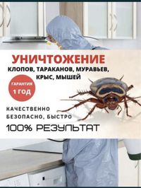 Уничтожение таракан клопы қандала кандала оброботка дезинфекция