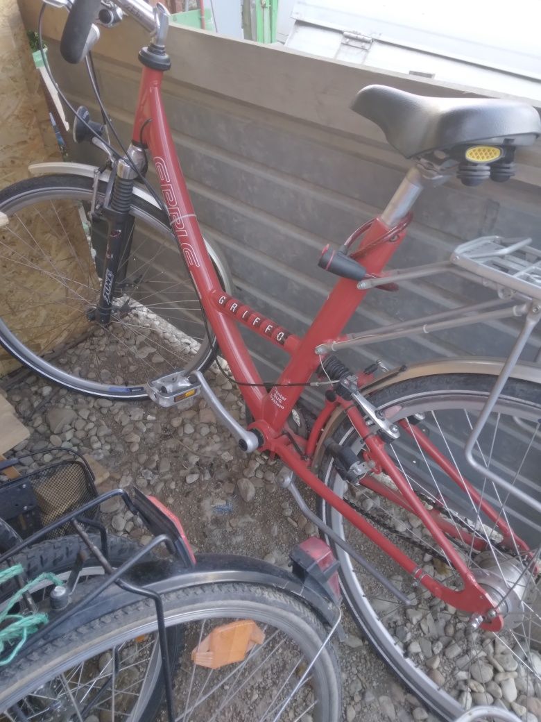 Biciclete dama import