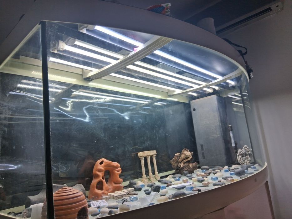 Vând Acvariu Juwel Led Vision 260L Alb cu dulap