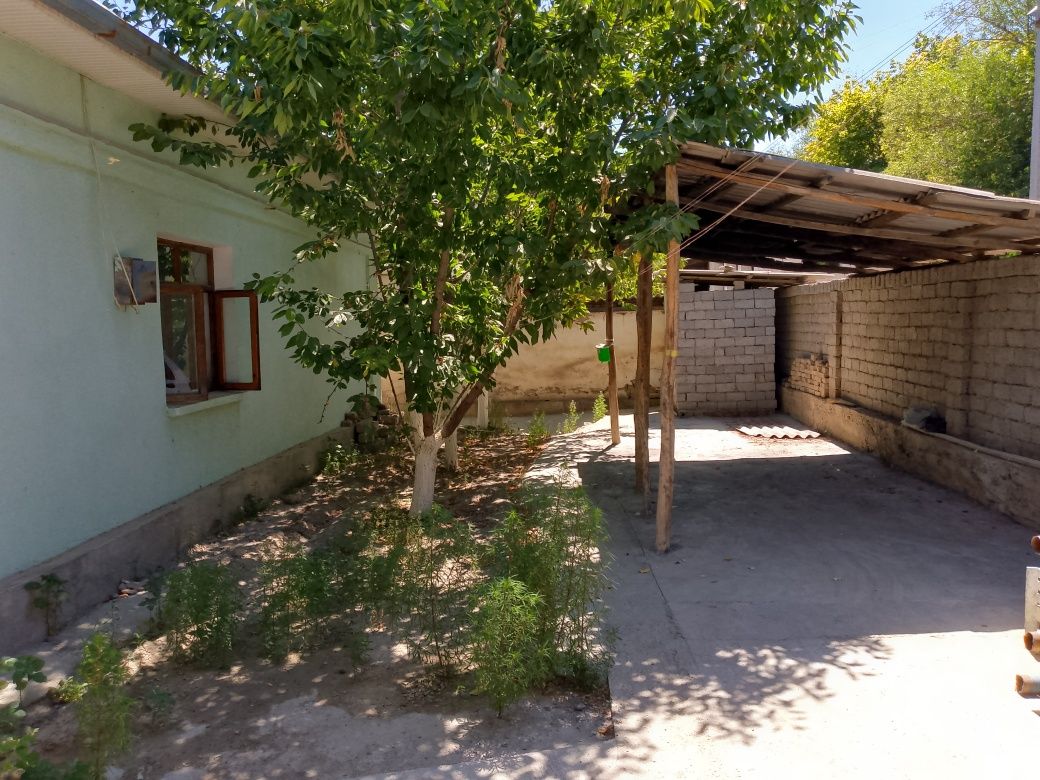 54000$ ga Toshkent viloyatidan uy bog'lari bilan birga sotiladi
