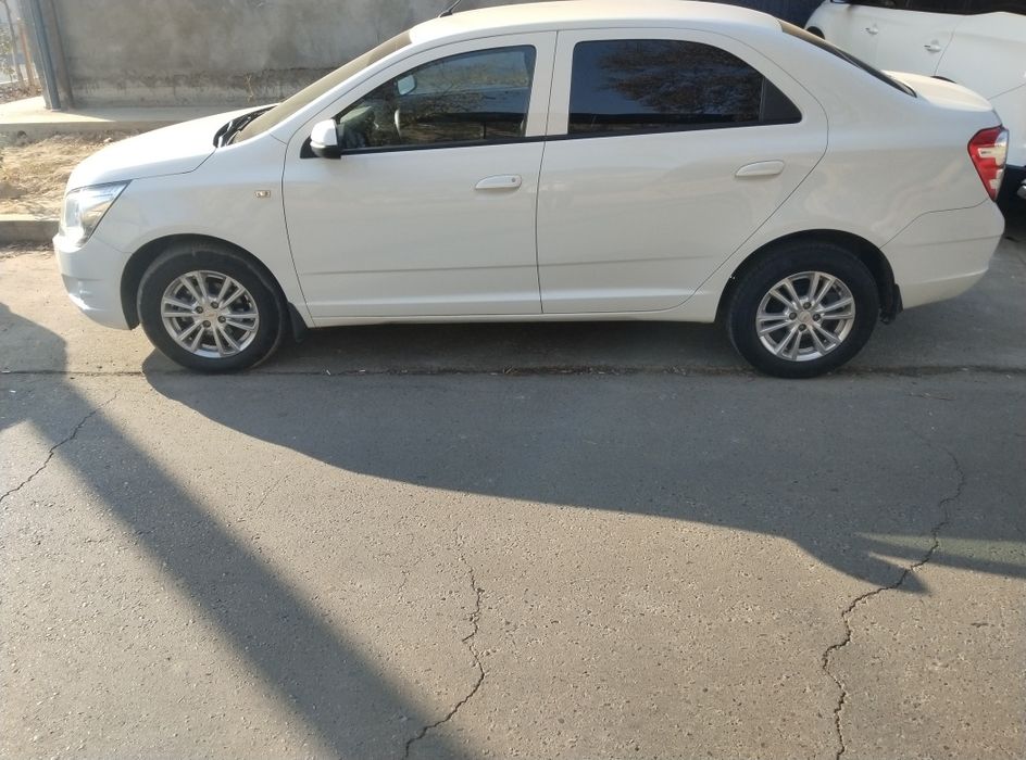 Cobalt 2022 gazi bor