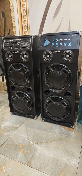 Vând boxe profesionale de 3000w 750 roni