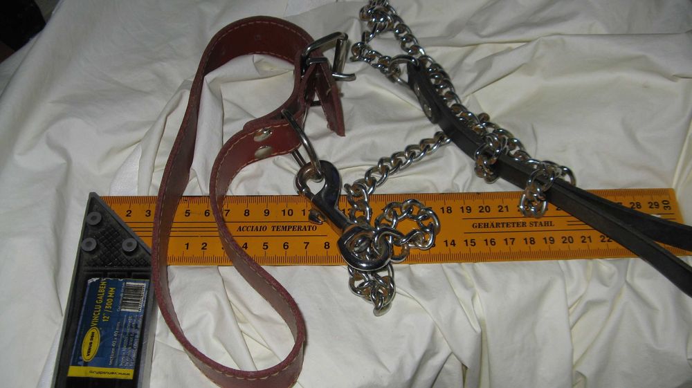 Vand zgarda si lesa caine