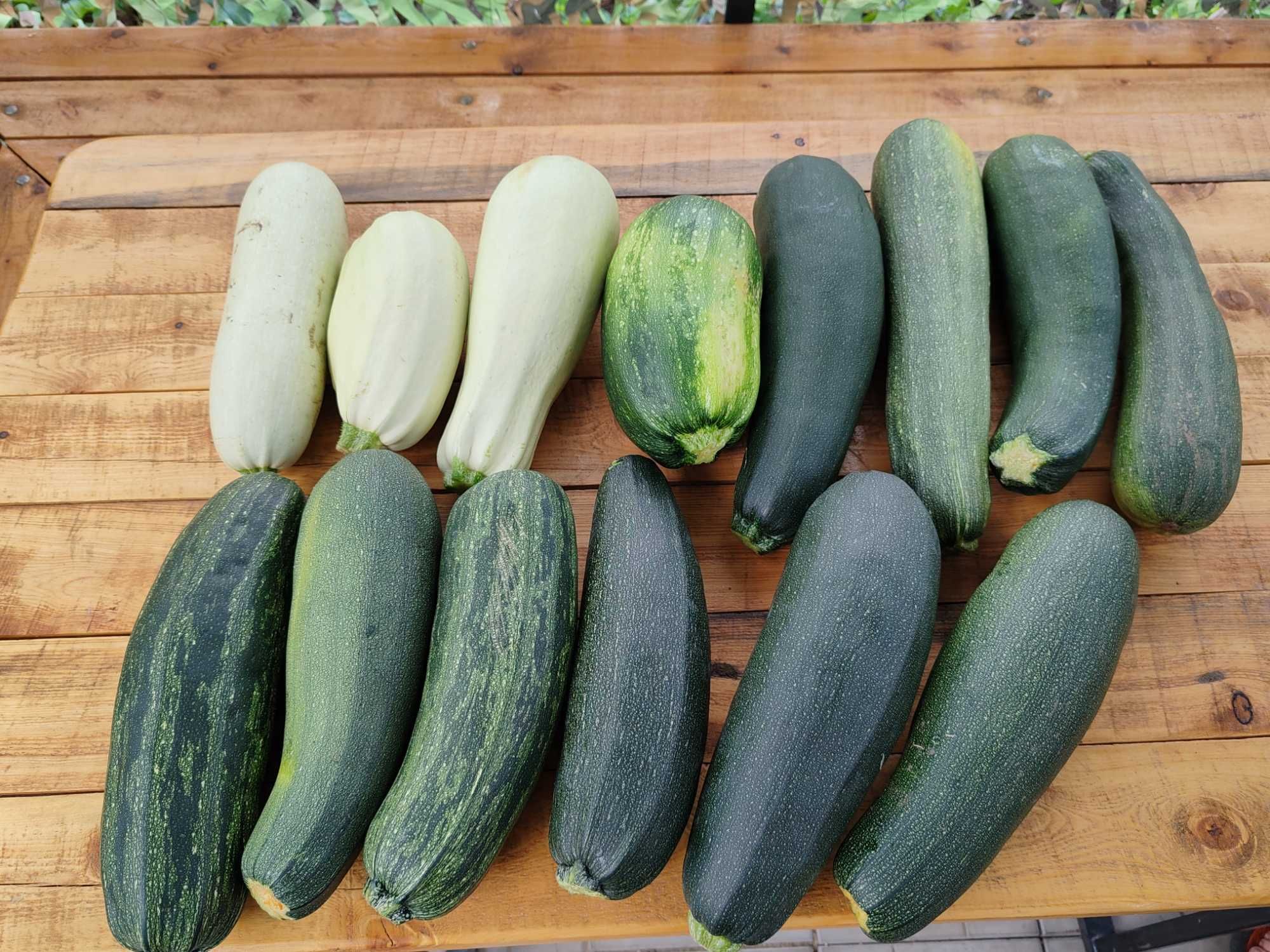 Кабачки домашние 200т/ шт