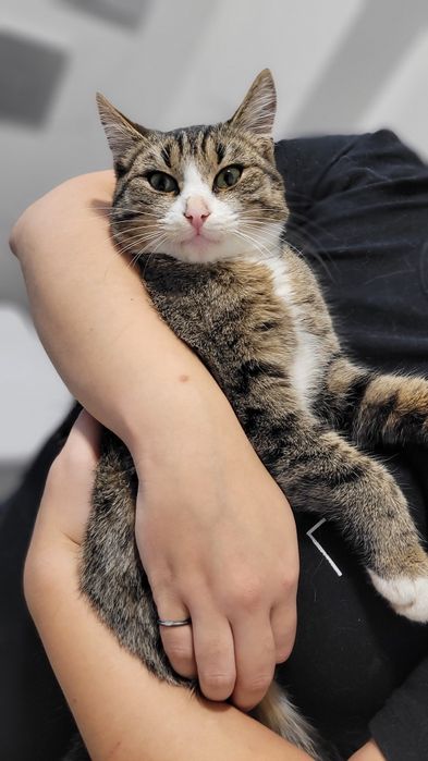 Отдадим в самые добрые руки