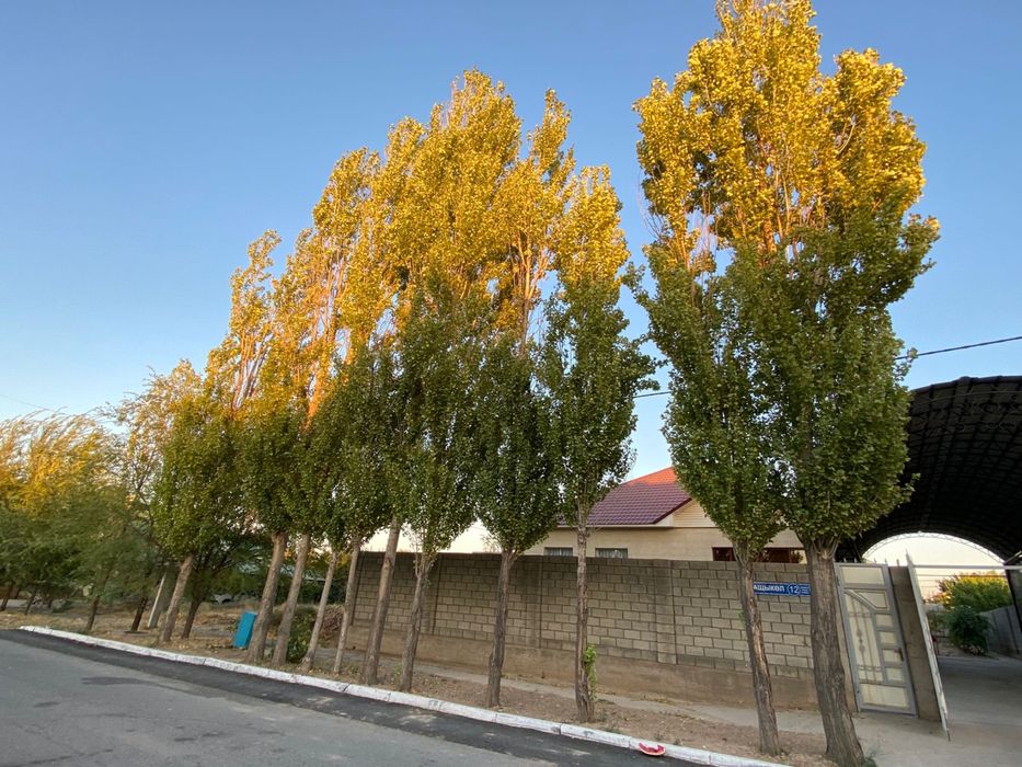 Тегын кесып алып кетсеныздер болды