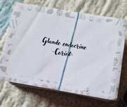 Flashcards CORINT pentru admitere